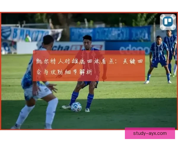 雄鹿最新赛程揭秘与关键比赛看点全解析